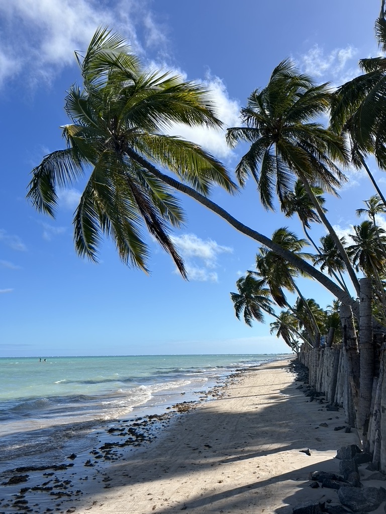 Playa brasileña entre selva y mar turquesa